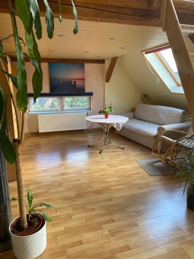 Helles Und Charmantes Loft Mit Herrlichem Blick Drážďany Exteriér fotografie