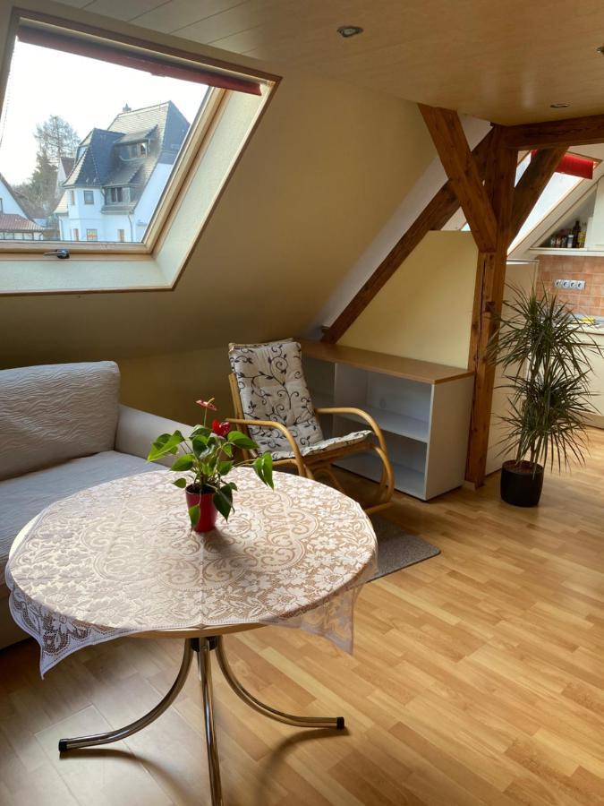 Helles Und Charmantes Loft Mit Herrlichem Blick Drážďany Exteriér fotografie