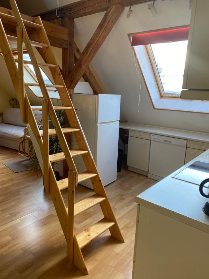 Helles Und Charmantes Loft Mit Herrlichem Blick Drážďany Exteriér fotografie