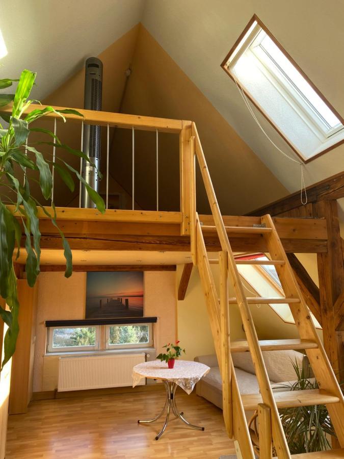 Helles Und Charmantes Loft Mit Herrlichem Blick Drážďany Exteriér fotografie