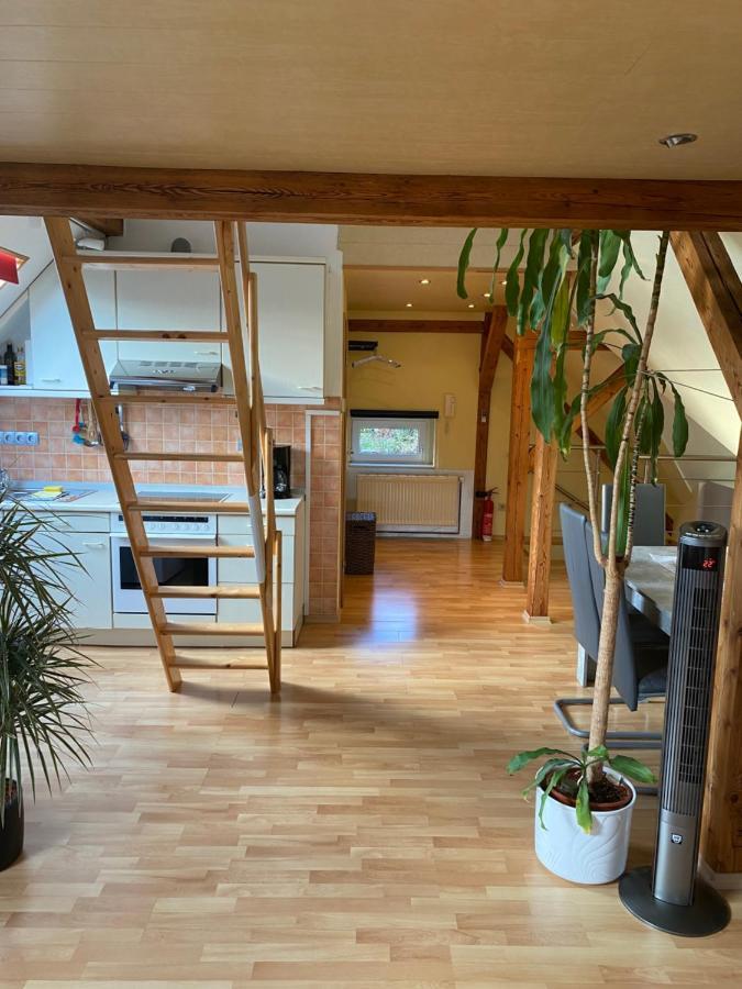 Helles Und Charmantes Loft Mit Herrlichem Blick Drážďany Exteriér fotografie
